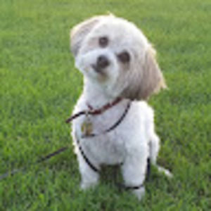 Meet your Posher, Lise